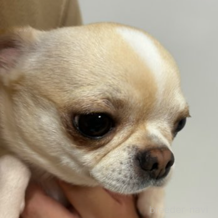 ナルくん1枚目